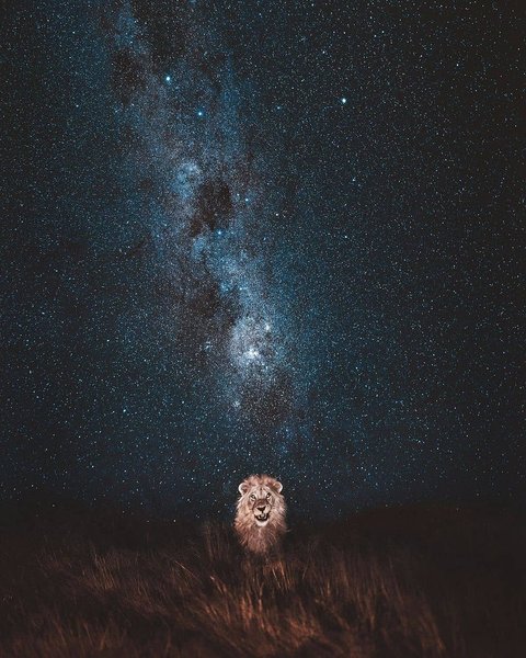 Thumbnail of p-bwlcarnhkej-3549d75151b7436c 0