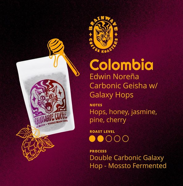 Thumbnail of p-dn1mhpbwpjm-354aae2e4e054c29 0