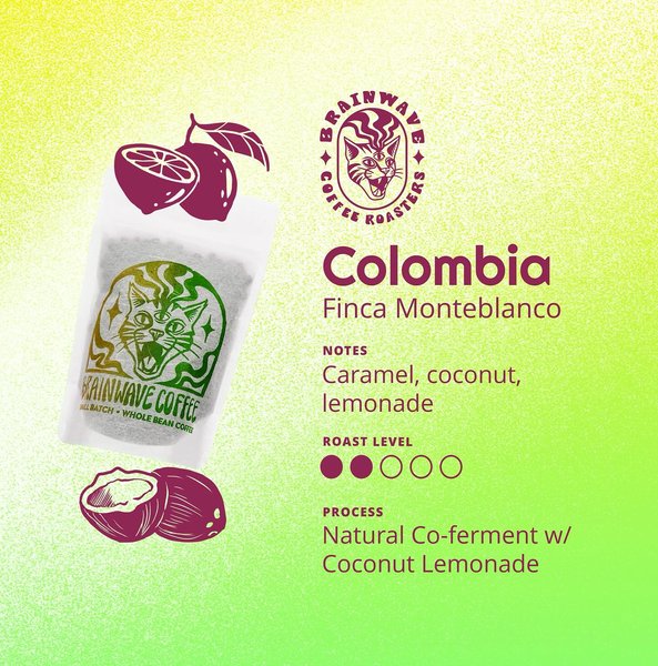 Thumbnail of p-dn1mhpbwpjm-354aae2e4e054c29 1