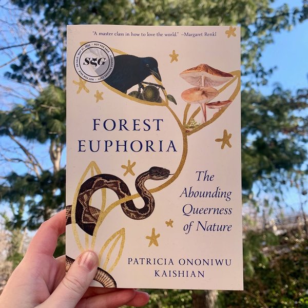 Thumbnail of instagram-99011c154cbe4235 0