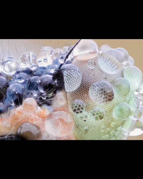 Thumbnail of dfnwgxsj-ii-f6d00854473b4f7a 5