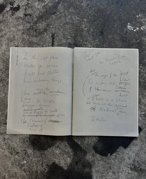 Thumbnail of www-instagram-com-p-dfylqizv1t9 5