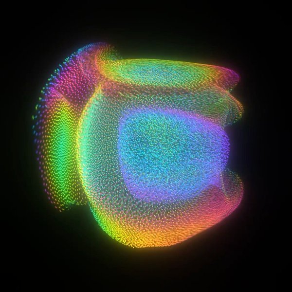 Thumbnail of p-crytaasmgd0-35674978ae914675 2