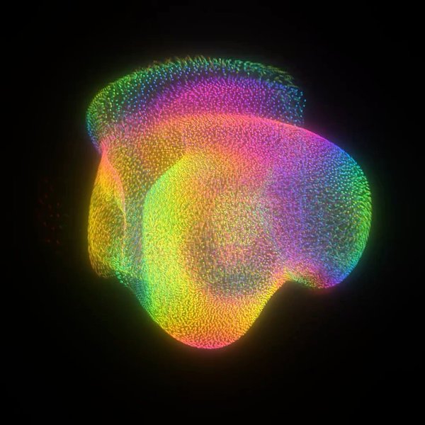 Thumbnail of p-crytaasmgd0-35674978ae914675 3