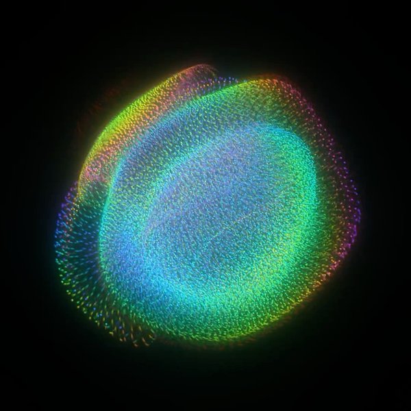 Thumbnail of p-crytaasmgd0-35674978ae914675 4