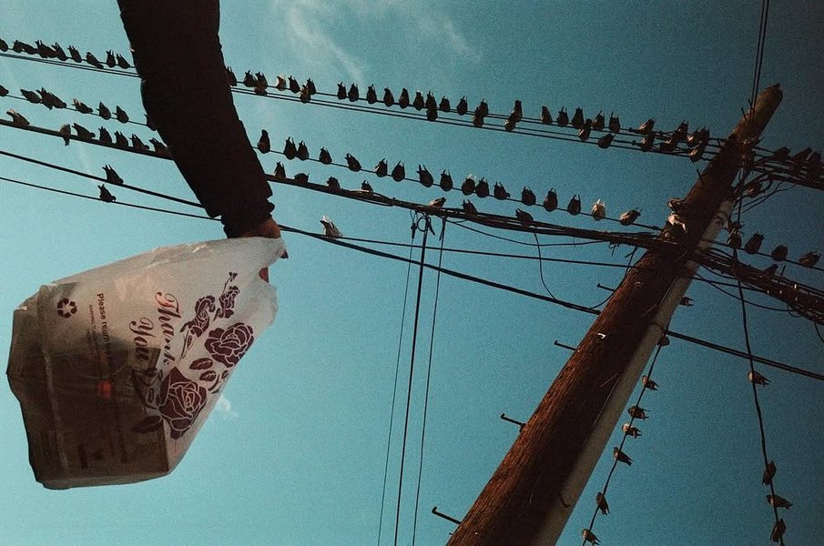 Thumbnail of www-instagram-com-p-dhhqothygod 0