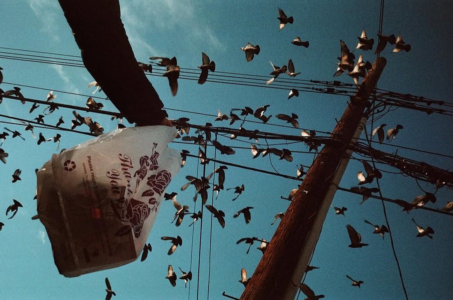 Thumbnail of www-instagram-com-p-dhhqothygod 1