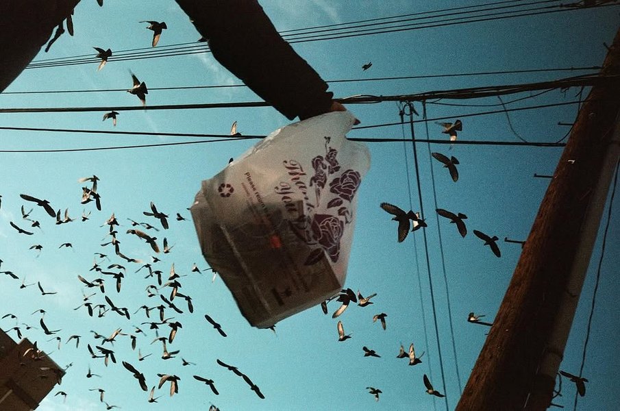 Thumbnail of www-instagram-com-p-dhhqothygod 2