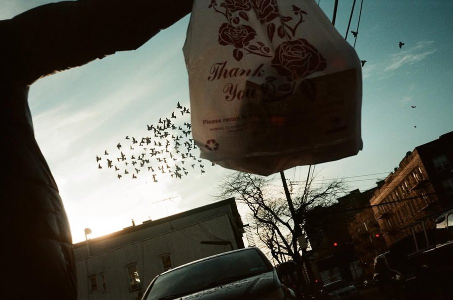 Thumbnail of www-instagram-com-p-dhhqothygod 3