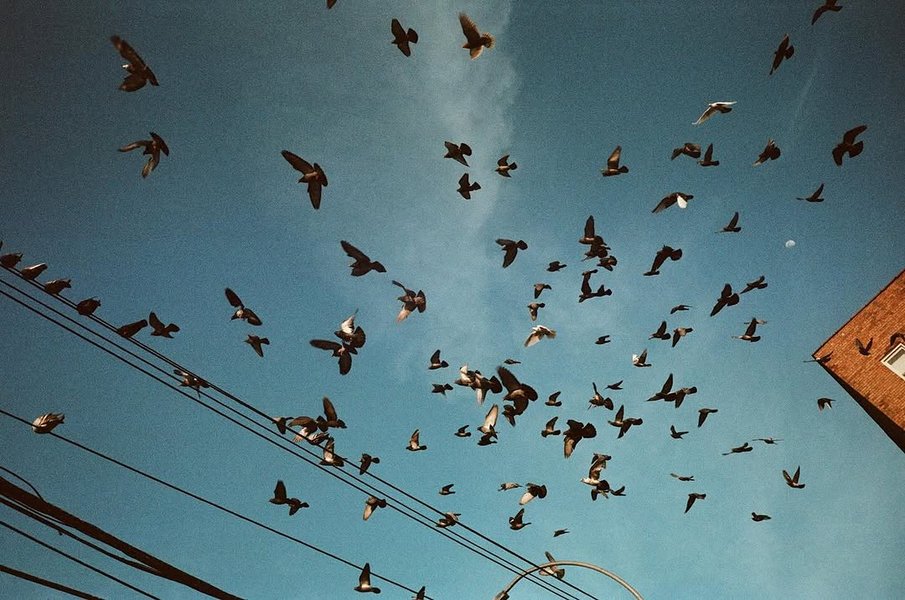 Thumbnail of www-instagram-com-p-dhhqothygod 7