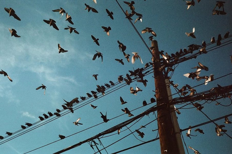 Thumbnail of www-instagram-com-p-dhhqothygod 8