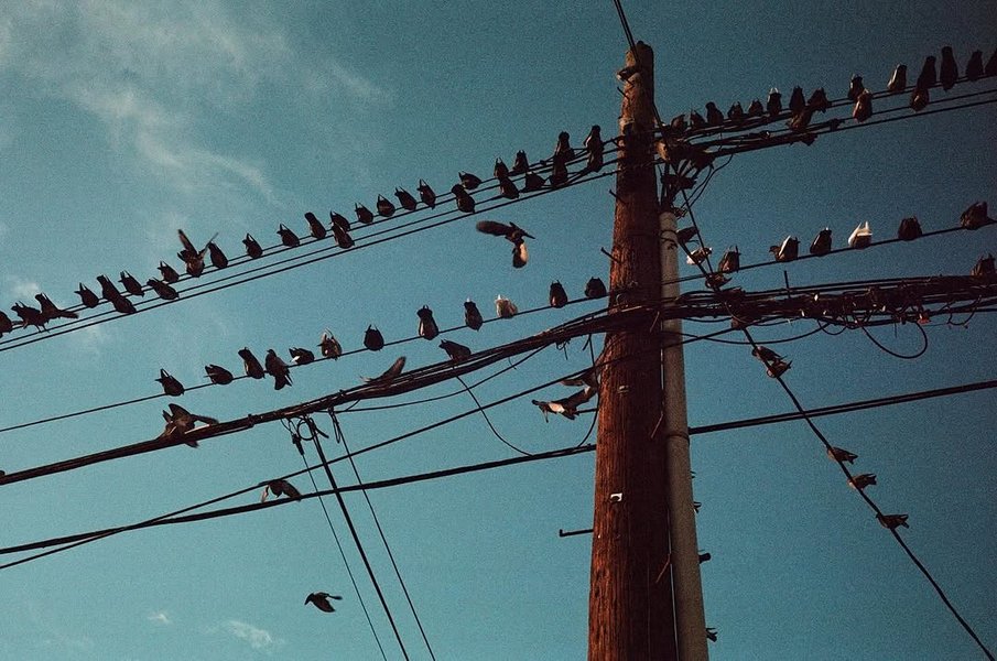 Thumbnail of www-instagram-com-p-dhhqothygod 9