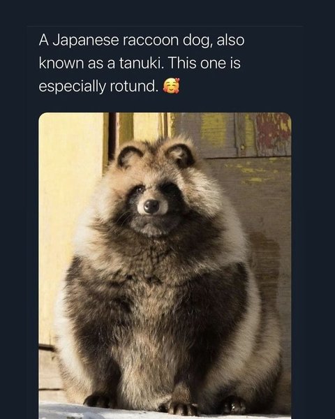 Thumbnail of p-dcrixdhsofx-358ef8ed53264659 0