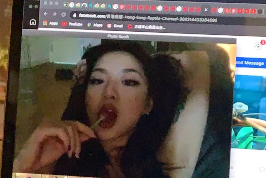 Thumbnail of p-cdq4joydyfb-359764198b274518 1