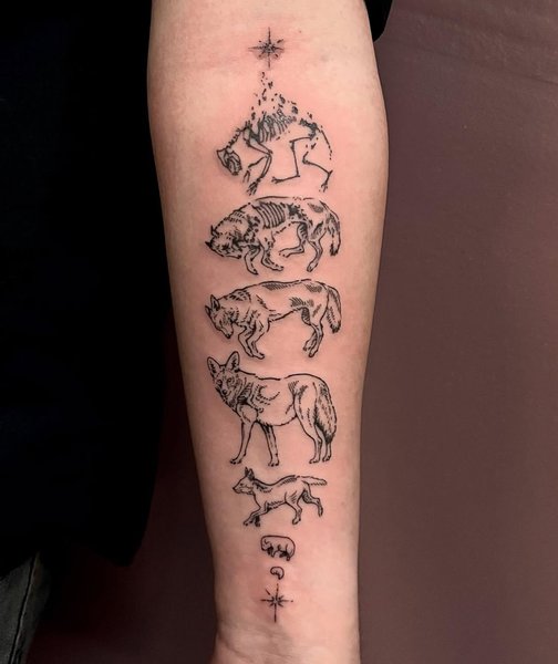 Thumbnail of www-instagram-com-p-dhv-wcajkho 0