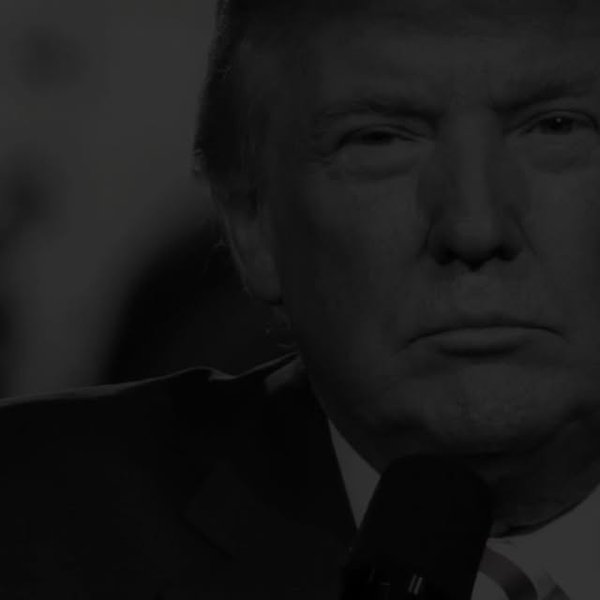 Thumbnail of p-bjsh9wsd8wq-359c3ad2ab254f78 0