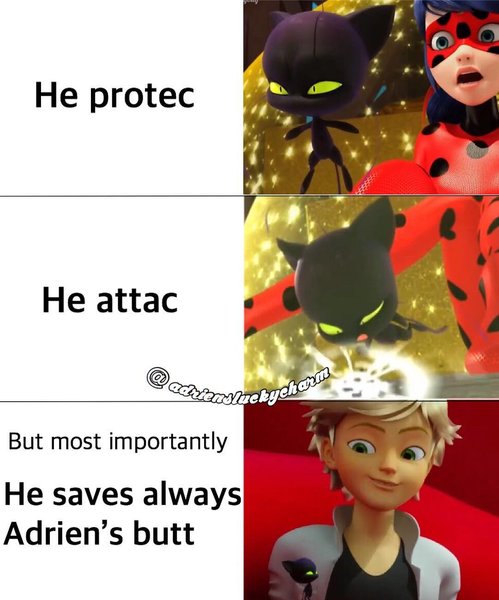 Thumbnail of p-bpsqkgblza-35a994e6444049b8 0