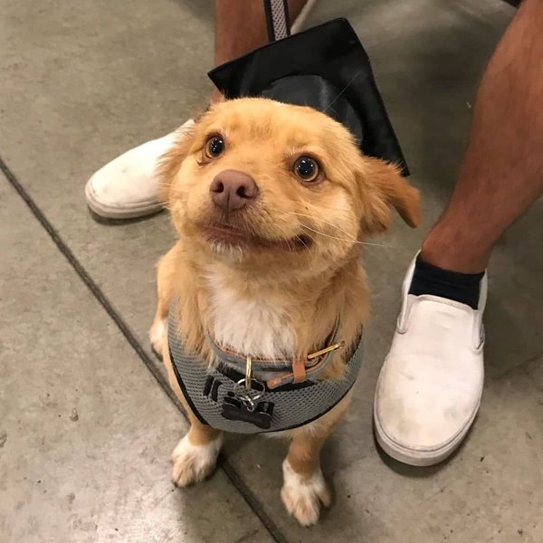 Thumbnail of p-b039rjwbeyy-35ba2a00d2a24409 0