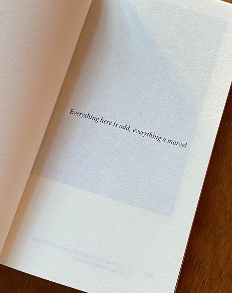 Thumbnail of p-dem5w9jvxzx-35d8bc34174f406e 6