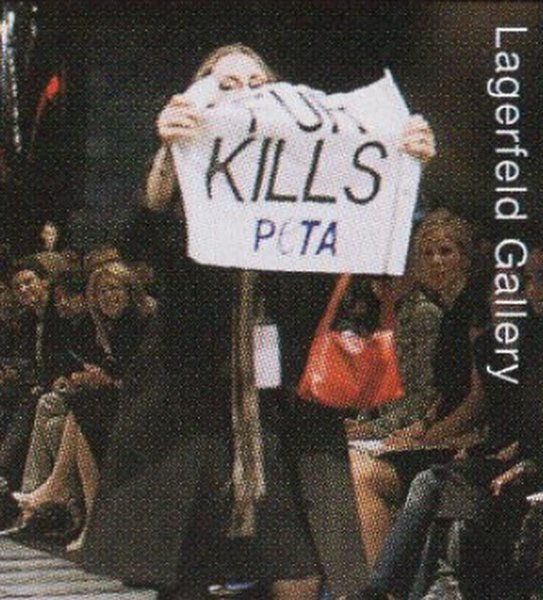 Thumbnail of cf2ja-daicz-36035c7a208e42bc 2