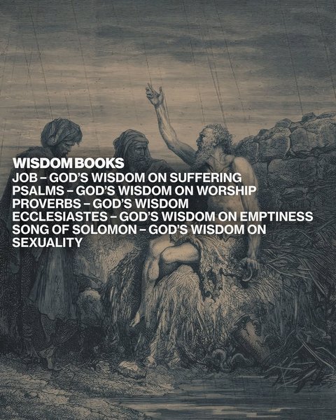 Thumbnail of www-instagram-com-p-djkf350ssqb 3