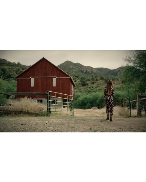 Thumbnail of www-instagram-com-p-djuxjcmt3tl 2