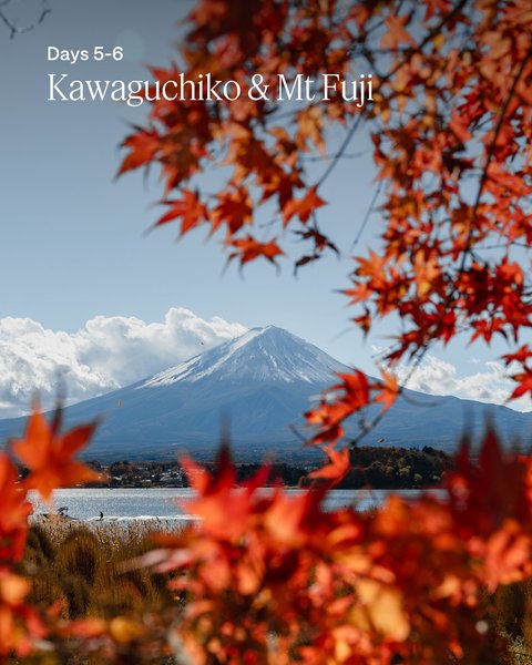 Thumbnail of p-djpc73xn0de-362bc78878a9401c 2