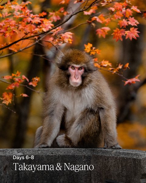 Thumbnail of p-djpc73xn0de-362bc78878a9401c 3