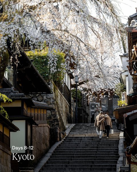 Thumbnail of p-djpc73xn0de-362bc78878a9401c 4