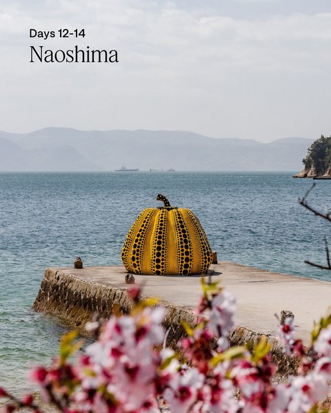 Thumbnail of p-djpc73xn0de-362bc78878a9401c 5