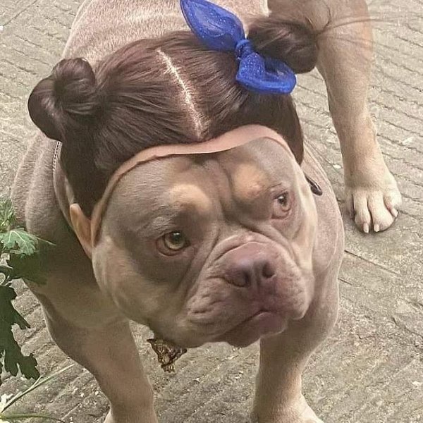 Thumbnail of cxso-fuzqb-364b92efa4de4d45 0