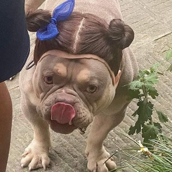 Thumbnail of cxso-fuzqb-364b92efa4de4d45 1