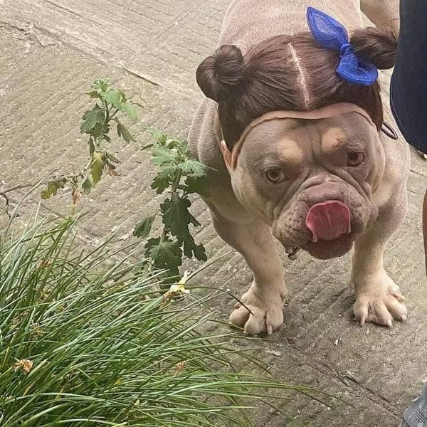 Thumbnail of cxso-fuzqb-364b92efa4de4d45 2