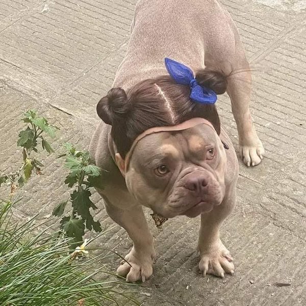 Thumbnail of cxso-fuzqb-364b92efa4de4d45 3