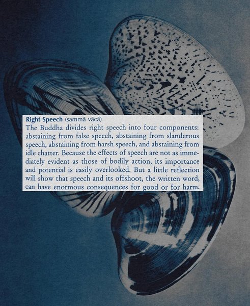 Thumbnail of www-instagram-com-p-dk2r1j-b6ah 1