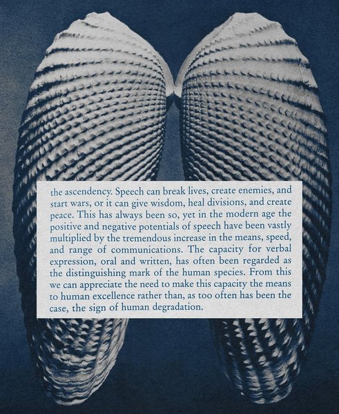 Thumbnail of www-instagram-com-p-dk2r1j-b6ah 2