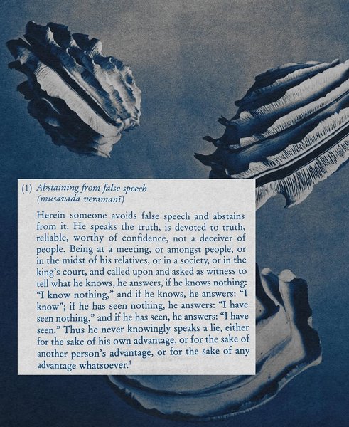 Thumbnail of www-instagram-com-p-dk2r1j-b6ah 3