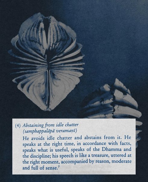 Thumbnail of www-instagram-com-p-dk2r1j-b6ah 6