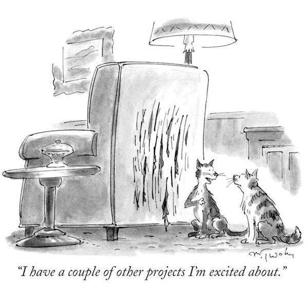 Thumbnail of cbgyd1cfn-d-365f40a737fb4fb1 0