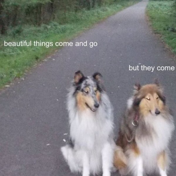 Thumbnail of www-instagram-com-p-dlaknjjot6k 3