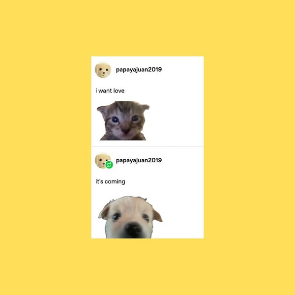 Thumbnail of www-instagram-com-p-dlaknjjot6k 7