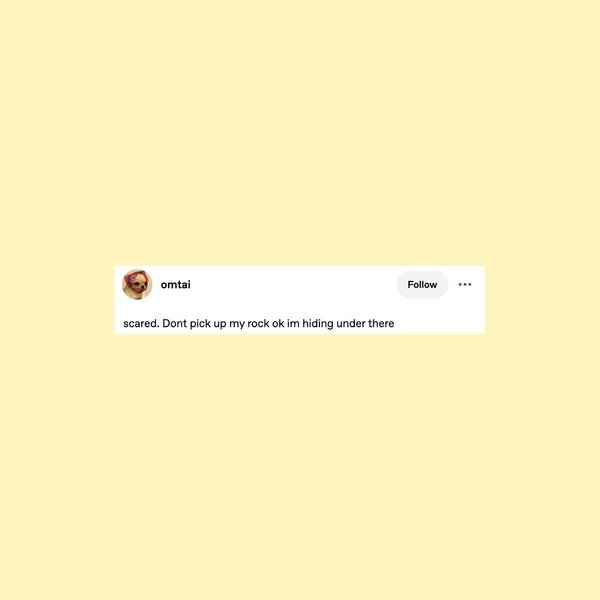 Thumbnail of www-instagram-com-p-dl8ryksxjcm 5