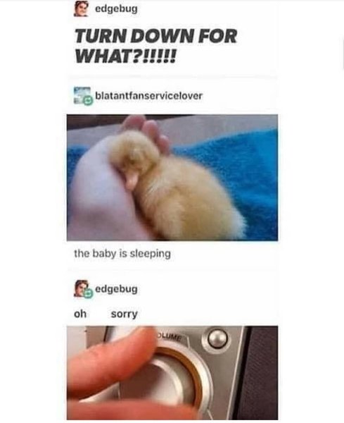 Thumbnail of p-cb5pnxll3bc-367561d5f71f4fe5 0