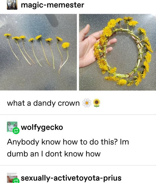 Thumbnail of p-byzus8og9yy-367c204066204e51 0