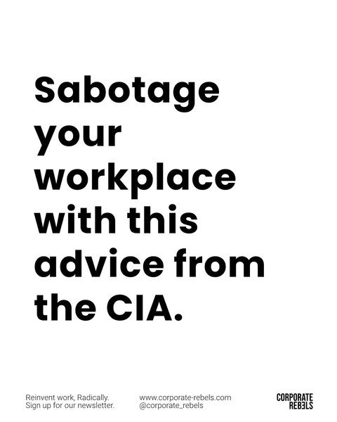 Thumbnail of www-instagram-com-p-dmpsmywcywi 0