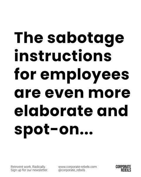 Thumbnail of www-instagram-com-p-dmpsmywcywi 14