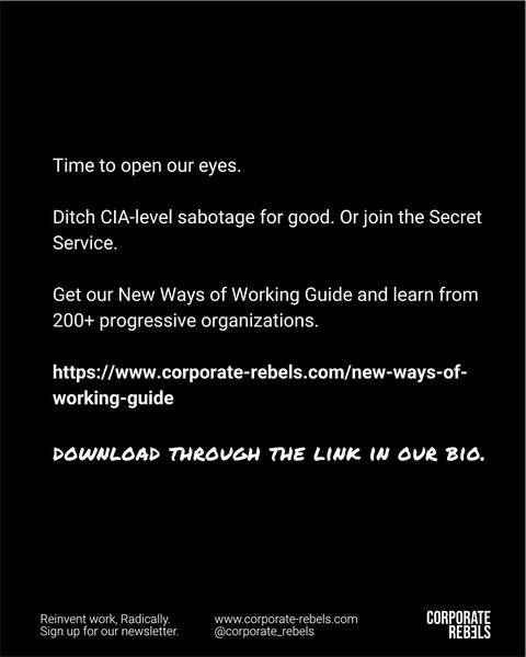 Thumbnail of www-instagram-com-p-dmpsmywcywi 19