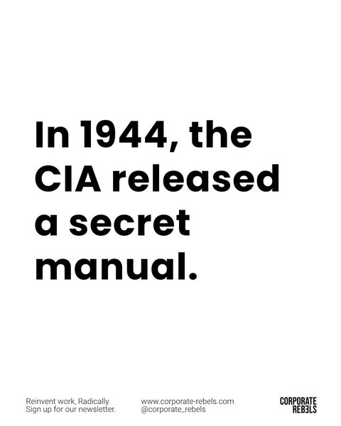 Thumbnail of www-instagram-com-p-dmpsmywcywi 2