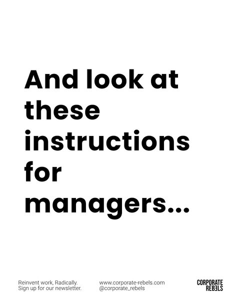 Thumbnail of www-instagram-com-p-dmpsmywcywi 8