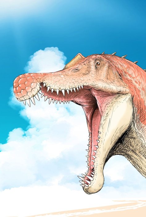 Thumbnail of www-x-com-kurinosukeboy-status-1861575701759250853-36866792370f4972